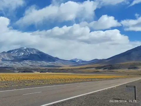 Campo en Venta en Saujil de Tinogasta, Tinogasta