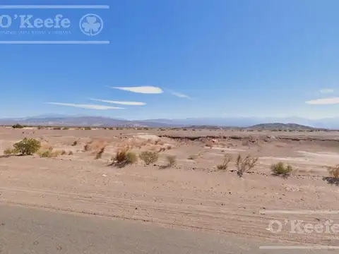 Campo en Venta en Fiambala, Tinogasta