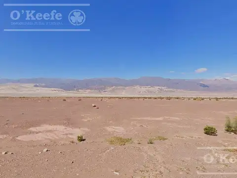 Campo en Venta en Fiambala, Tinogasta