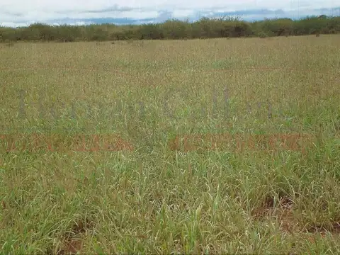 Campo en Venta en Capayan, Capayán