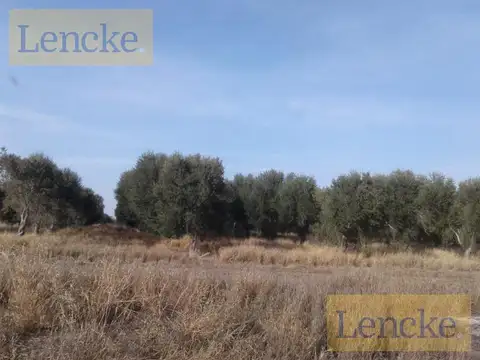 Campo en Venta en Capayan, Capayán