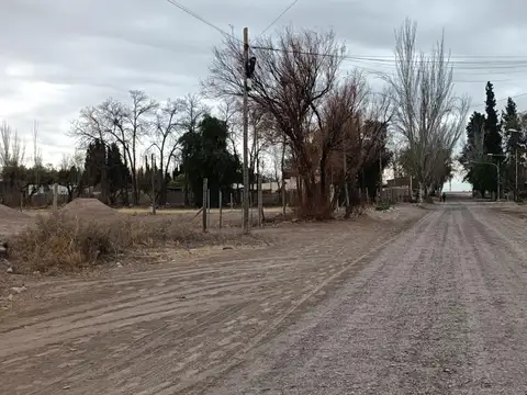 Terreno en Venta en Palacios, Tinogasta