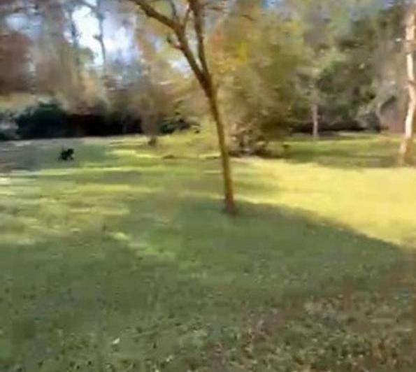 Terreno · 1100m²
