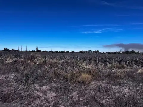 Terreno en Venta en Caucete, San Juan
