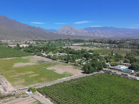 Terreno en Venta en Zonda, San Juan