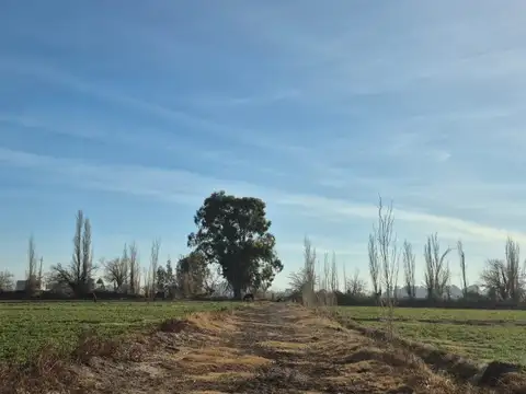Terreno en Venta en Barrio Rawson, Rawson