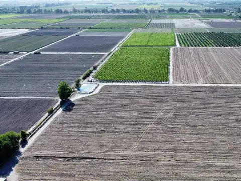 Campo en Venta en Pocito, San Juan