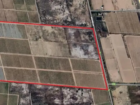 Campo en Venta en Pocito, San Juan