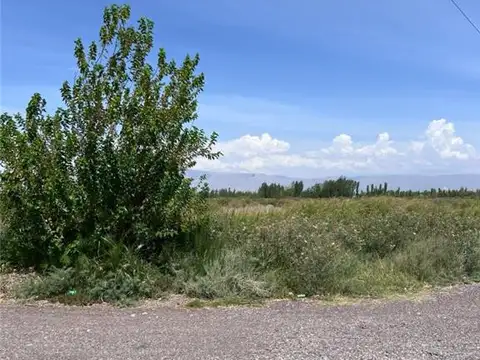 Campo en Venta en Barrio Rawson, Rawson