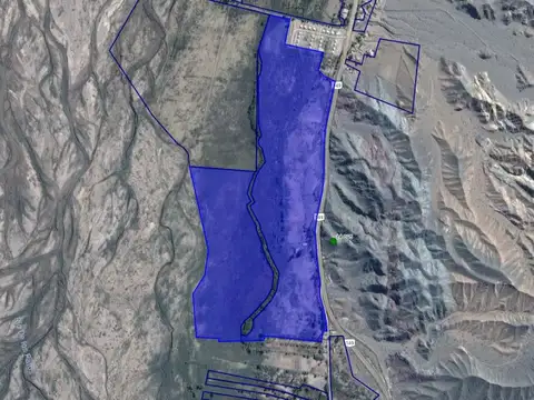 Campo en Venta en Calingasta, San Juan