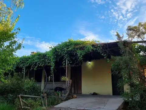 Campo en Venta en El Bosque, Angaco