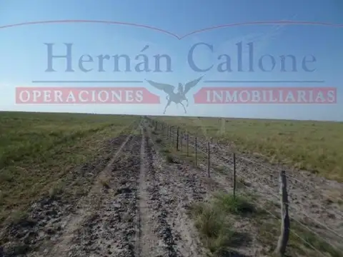 Campo en Alquiler en Argentina, Aguirre