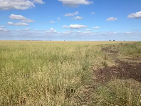 Campo en Venta en Los Porongos, Rivadavia