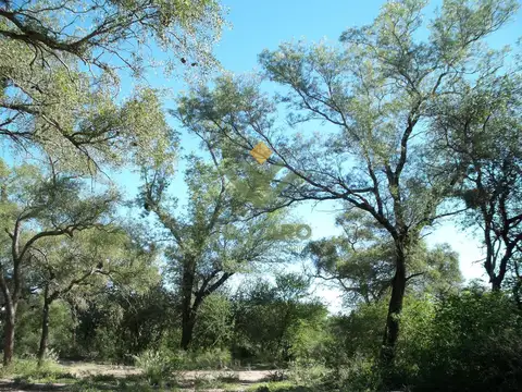 Campo en Venta en Garza, Sarmiento