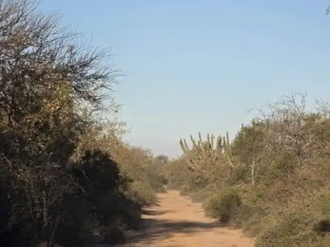 Campo en Venta en Lugones, Avellaneda