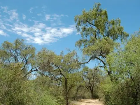 Campo en Venta en Frias, Choya