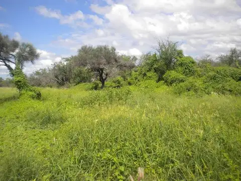 Campo en Venta en Añatuya, General Taboada