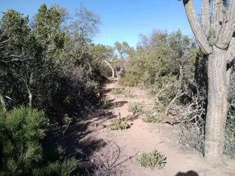 Campo en Venta en Herrera, Avellaneda
