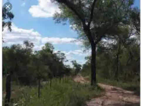 Campo en Venta en Nasalo, Juan Felipe Ibarra