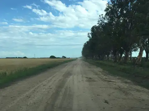 Campo en Venta en Fortin Inca, Belgrano