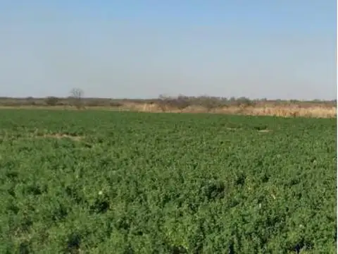 Campo en Venta en La Banda, Banda