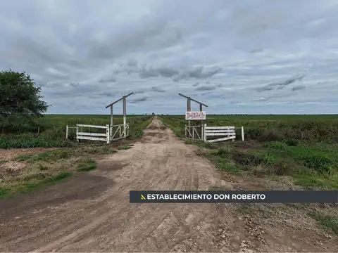 Campo en Venta en Guardia Escolta, Belgrano