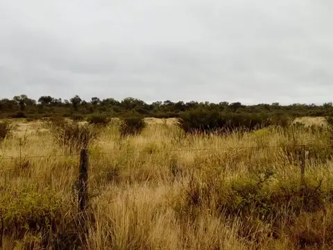 Campo en Venta en Ojo de Agua, Santiago del Estero