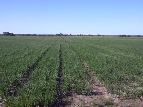 Campo en Venta en Cañada Escobar, Banda