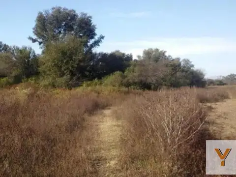Campo en Venta en Los Pereyra, Robles