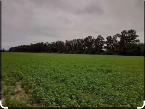 Campo en Venta en Aguada, Río Hondo