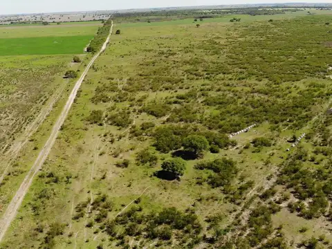 Campo en Venta en Santiago del Estero, Capital