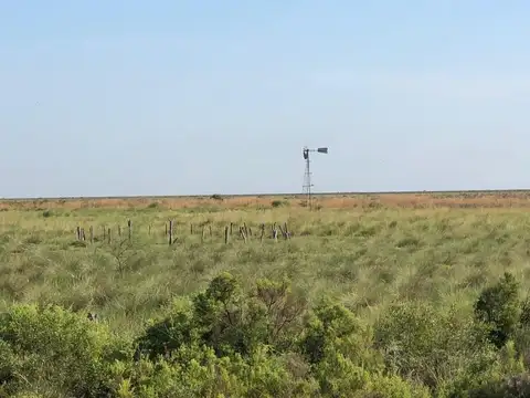 Campo en Venta en Villa Union, Mitre