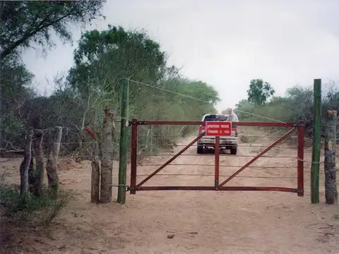 Campo en Venta en Choya, Santiago del Estero