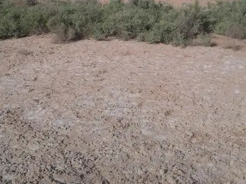 Campo en Venta en Herrera, Avellaneda