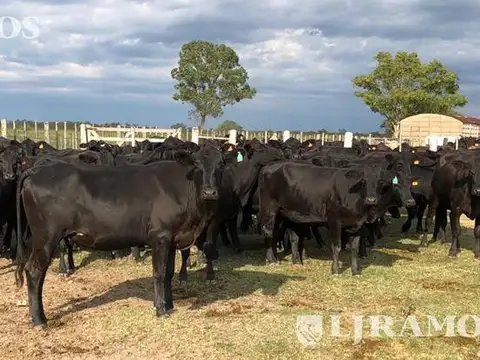 Campo en Venta en Argentina, Aguirre