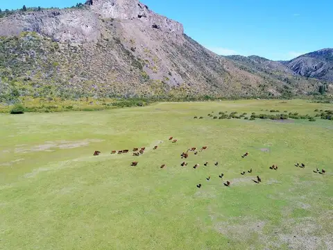 Campo en Venta en Tres Lagos, Lago Argentino