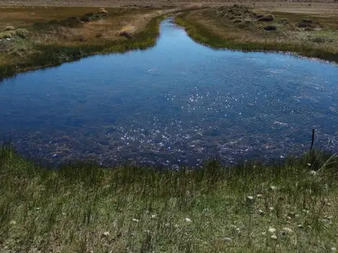 Campo en Venta en Perito Moreno, Lago Buenos Aires