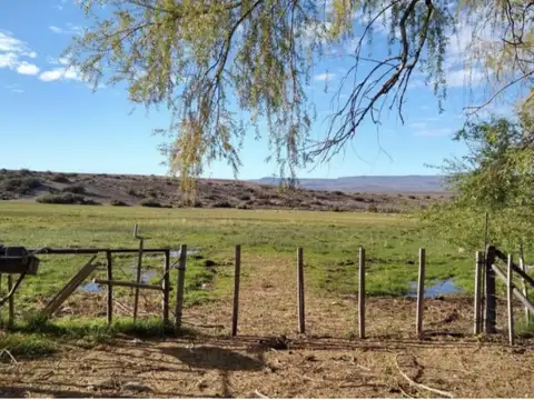 Campo en Venta en Perito Moreno, Lago Buenos Aires
