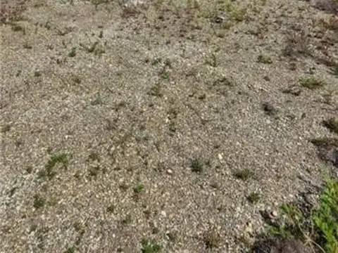 Terreno en Venta en Rio Grande, Río Grande