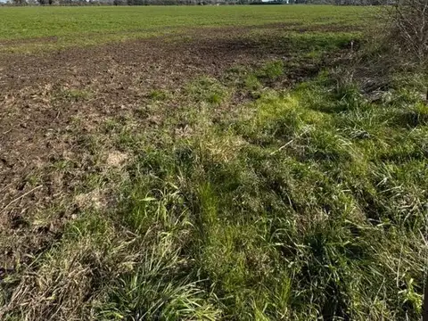 Campo en Venta en Cortines, Partido de Luján