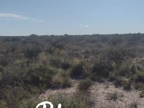 Campo en Venta en La Reforma, Limay Mahuida