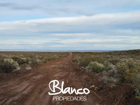 Campo en Venta en 25 de Mayo, Puelén