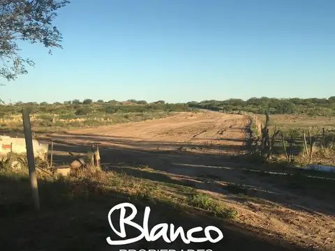 Campo en Venta en Limay Mahuida, Lihuel Calel