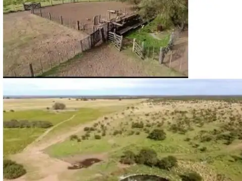 Campo en Venta en General Acha, Utracán
