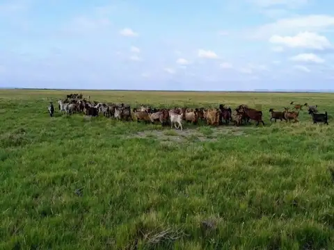 Campo en Venta en Algarrobo del Aguila, Chical Co