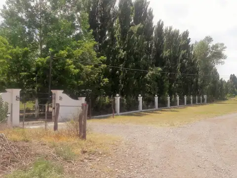 Campo en Venta en 25 de Mayo, Puelén