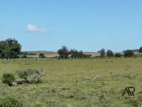 Campo en Venta en El Odre, Loventué