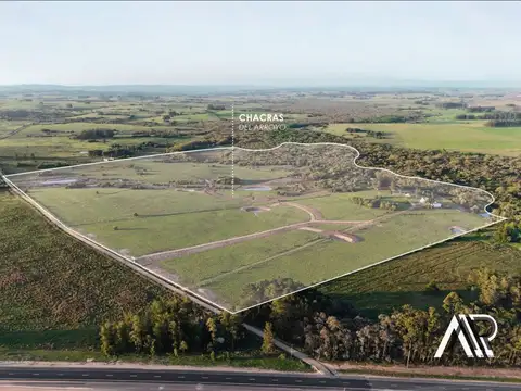 Campo en Venta en Colonia el Porvenir, Loventué