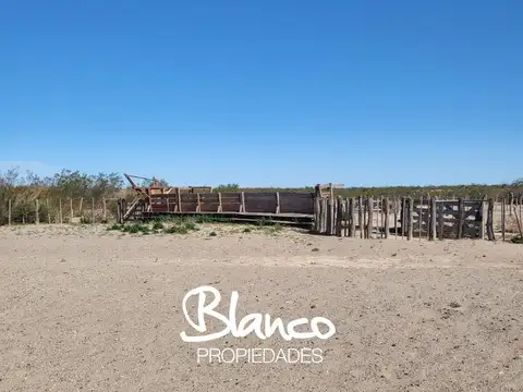 Campo en Venta en 25 de Mayo, Puelén