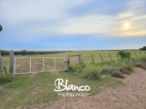 Campo en Venta en Unanue, Utracán